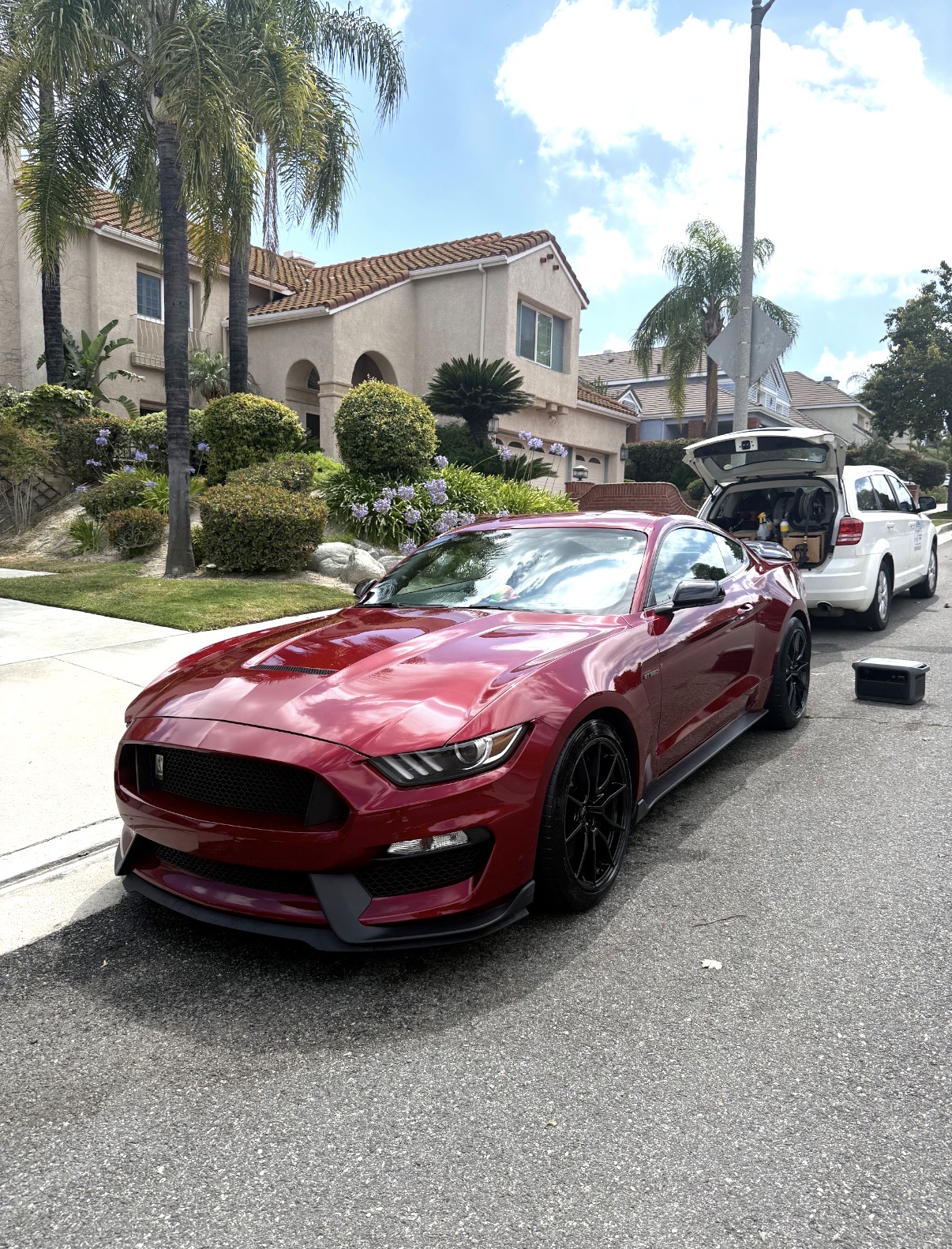 Ford Mustang Shelby GT350 — full detail